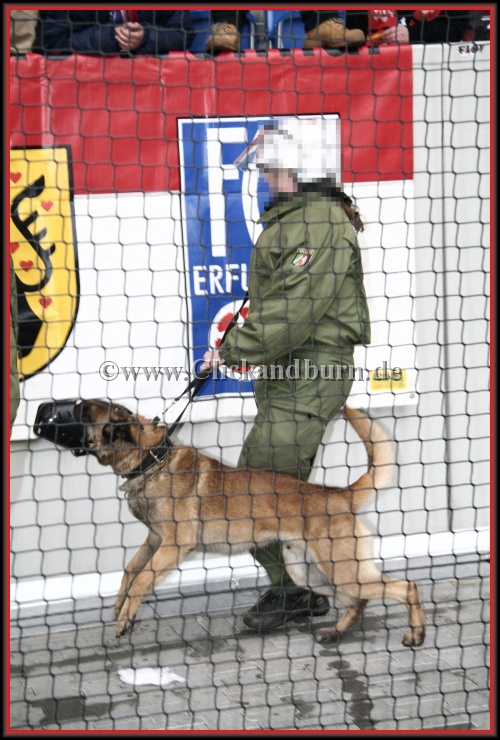 Nächstes Bild