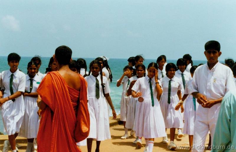Galle 