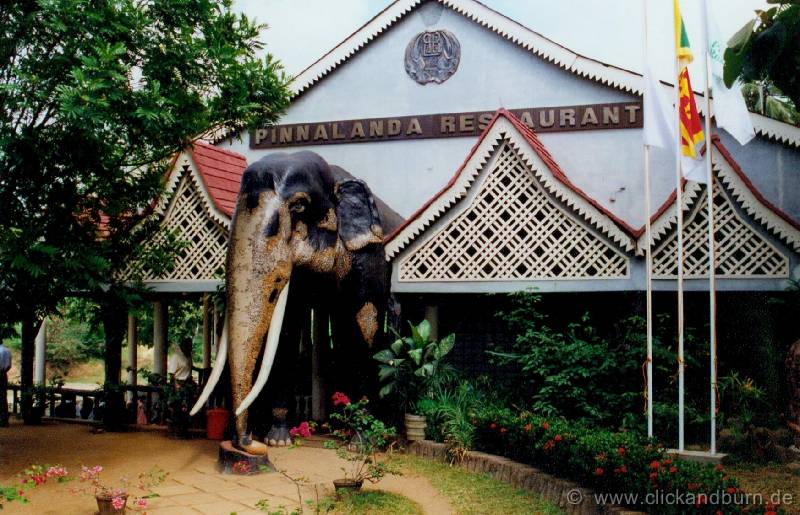 Pinnawale 